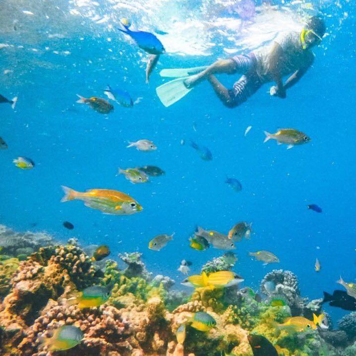 Palm Lodge Thulusdhoo Zewnętrze zdjęcie