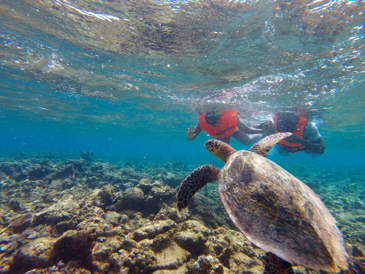 Palm Lodge Thulusdhoo Zewnętrze zdjęcie